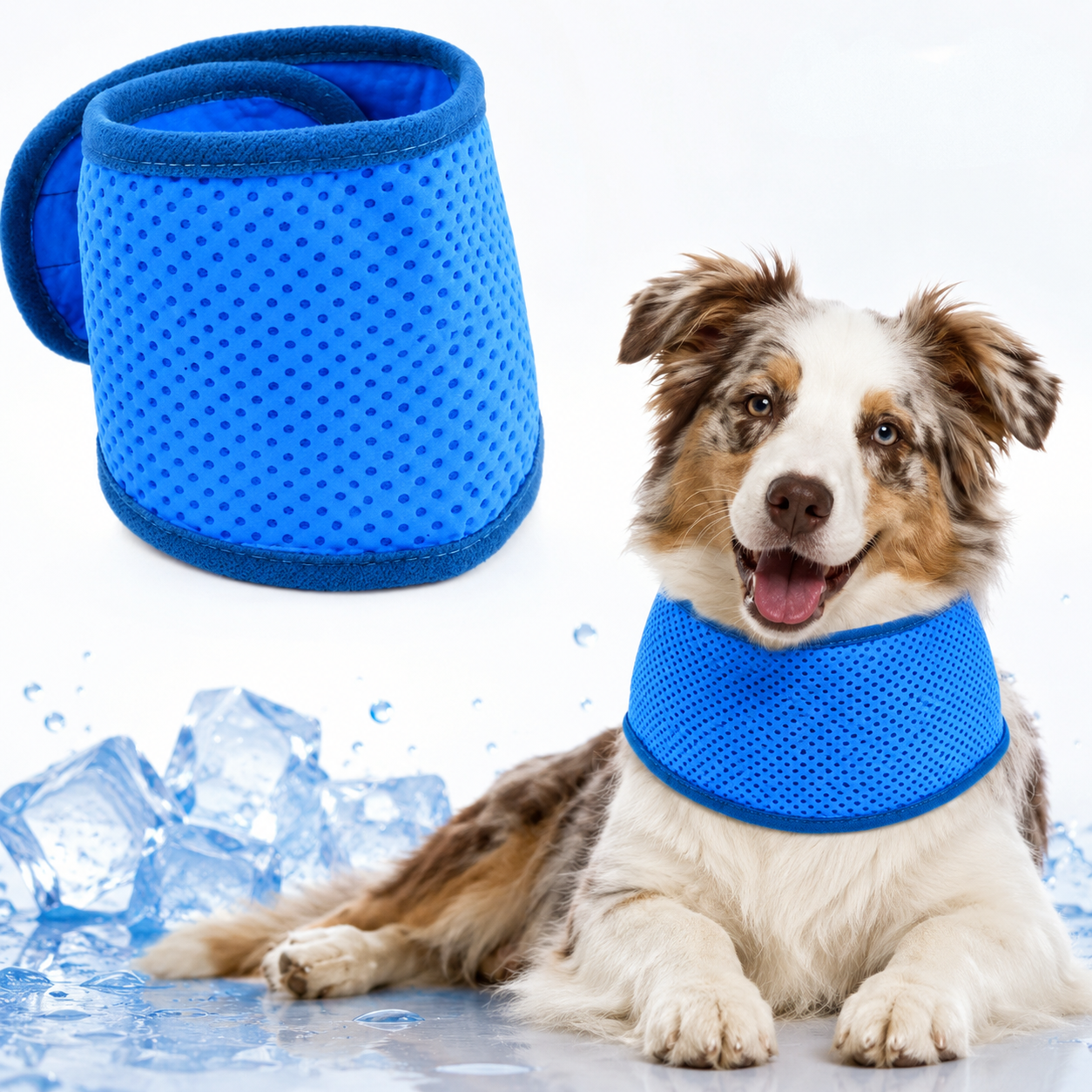 Dog wearing a blue cooling neck wrap designed to help keep pets cool during hot summer weather.