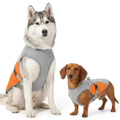 Husky and Dachshund wearing gray and orange dog cooling vest with adjustable buckle — white background