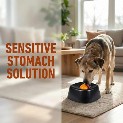 Slow feeder dog bowl for fast eaters designed to support sensitive stomachs and controlled feeding.